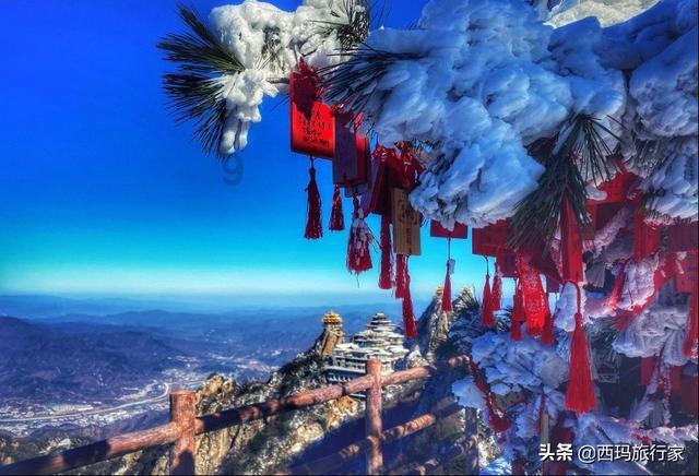 罗坑村之变